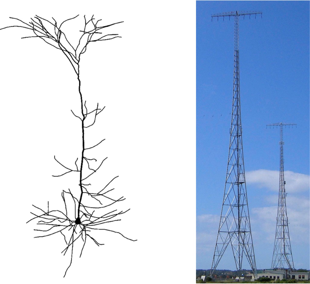 A pyramidal neuron acts as an emitting antenna for EEG, using the dipole principle