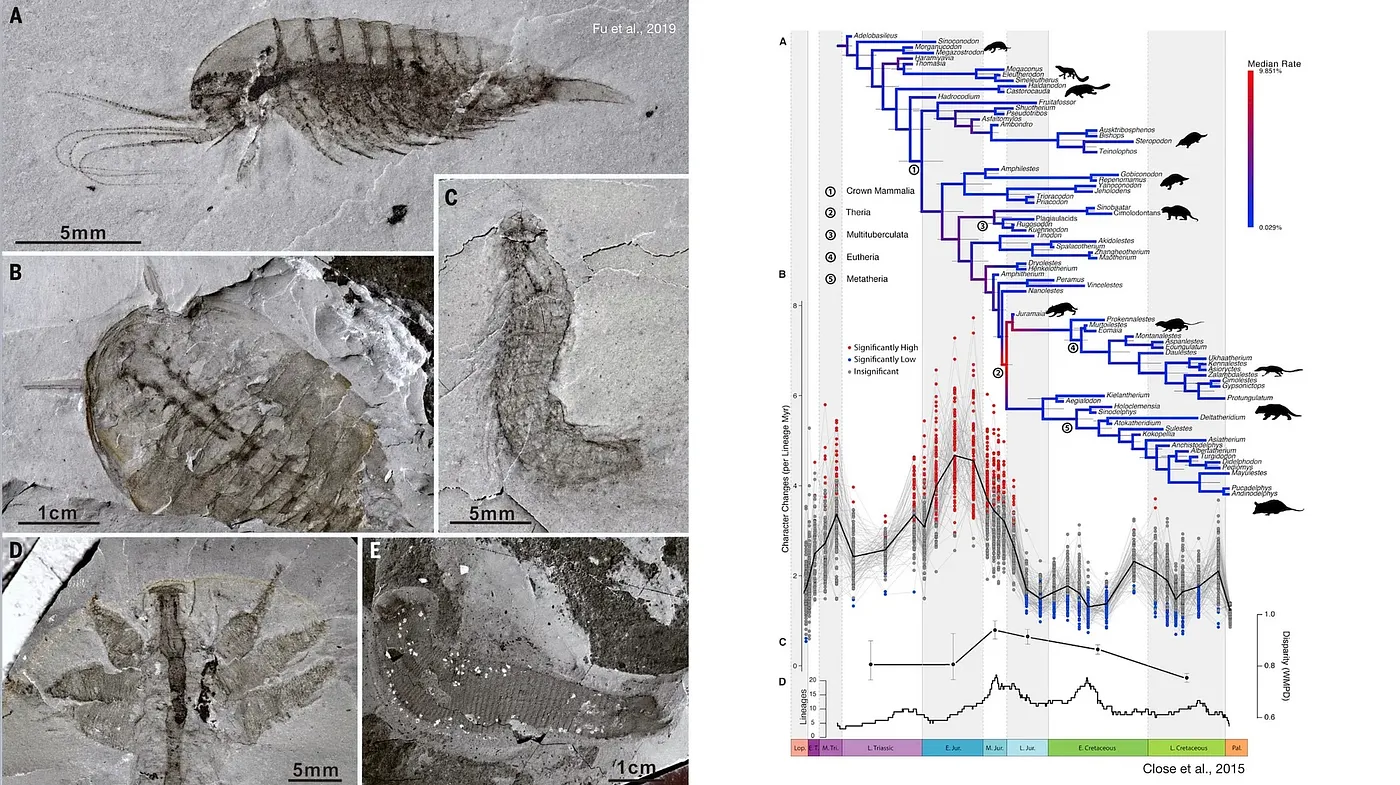 The Origin of the Machine Species